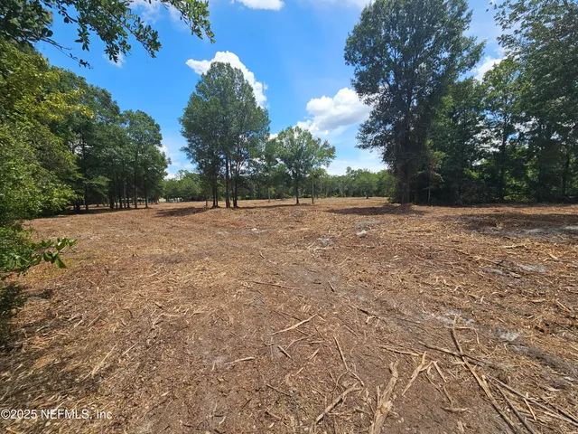a backyard of a house with lots of green space