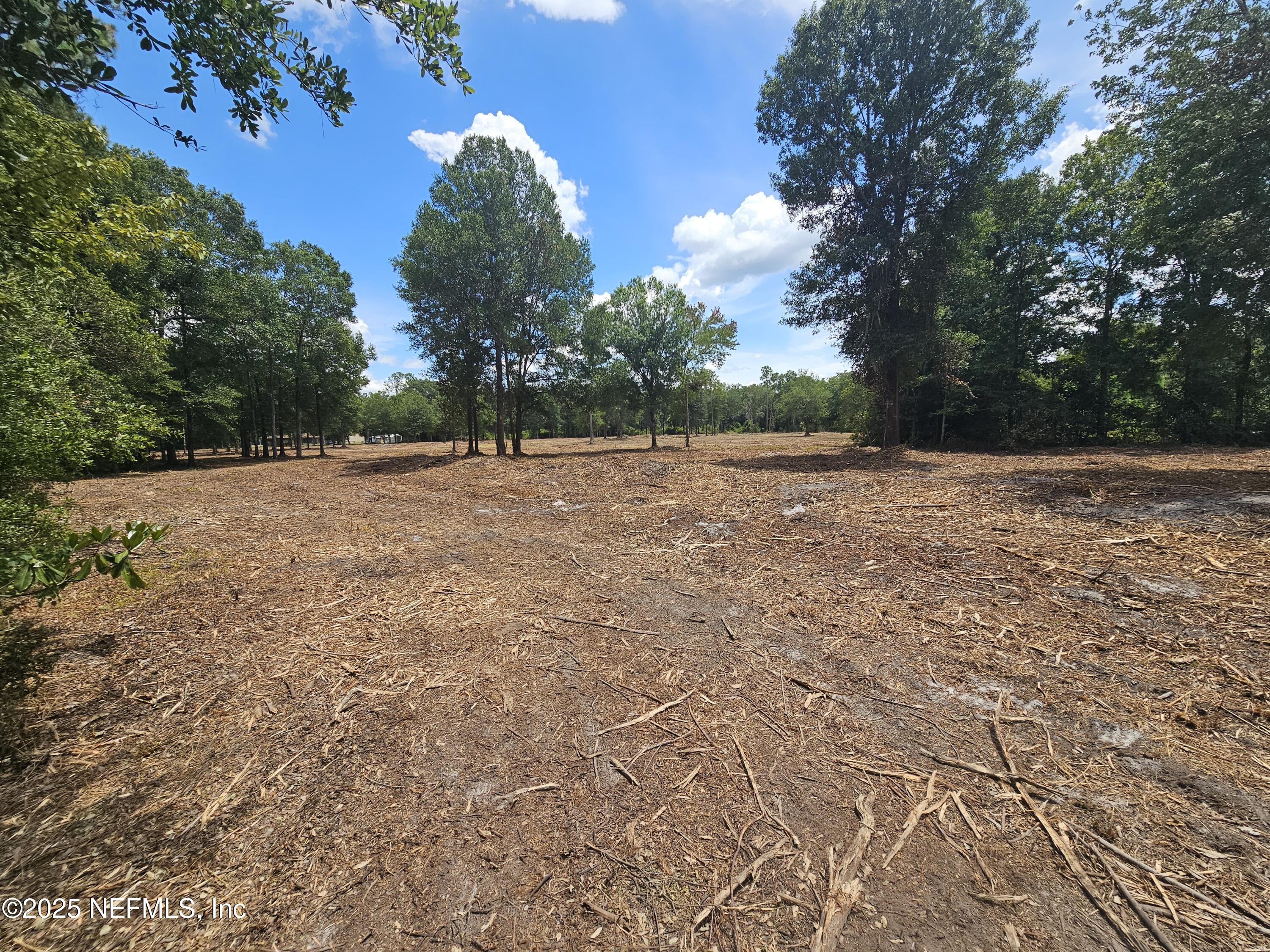 0 Highway 90 Jacksonville, FL 32234 - Photo 5 of 10 a backyard of a house with lots of green space