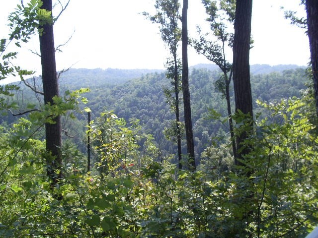 0 Messer Branch Road Hartford, TN 37753 - Photo 24 of 27