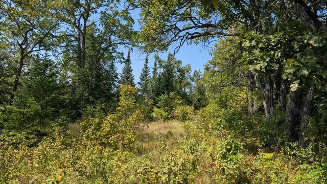 $195,000 | Tbd Tbd Meyers Island, Tower, MN 55790
