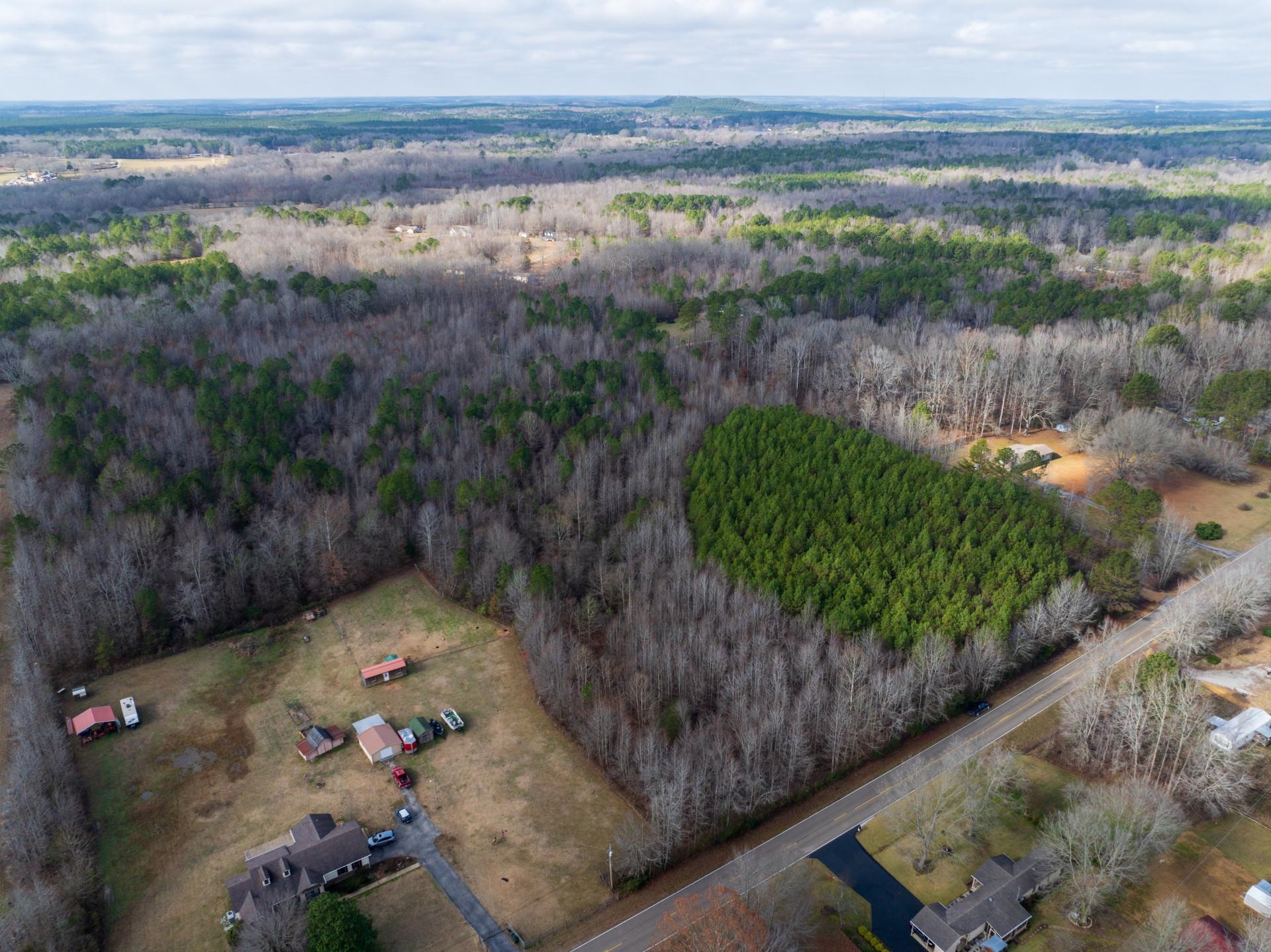 0 County Road 992 Road Iuka, MS 38852 - Photo 11 of 17 Drone / aerial view
