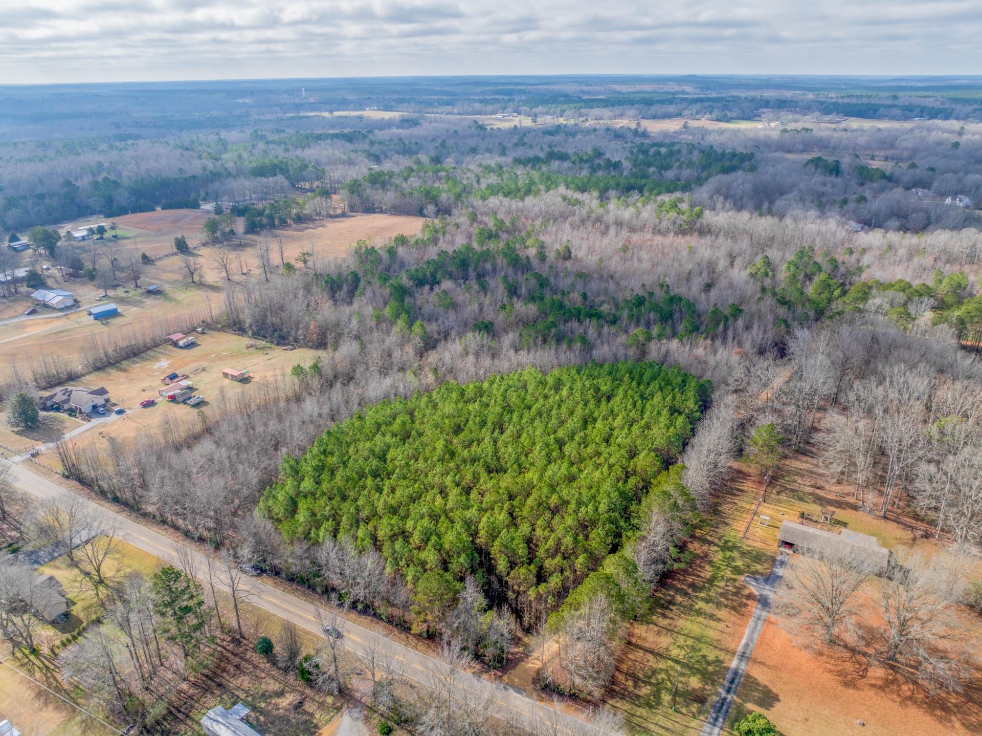 0 County Road 992 Road Iuka, MS 38852 - Photo 2 of 17 Birds eye view of property featuring a rural view and a view of trees