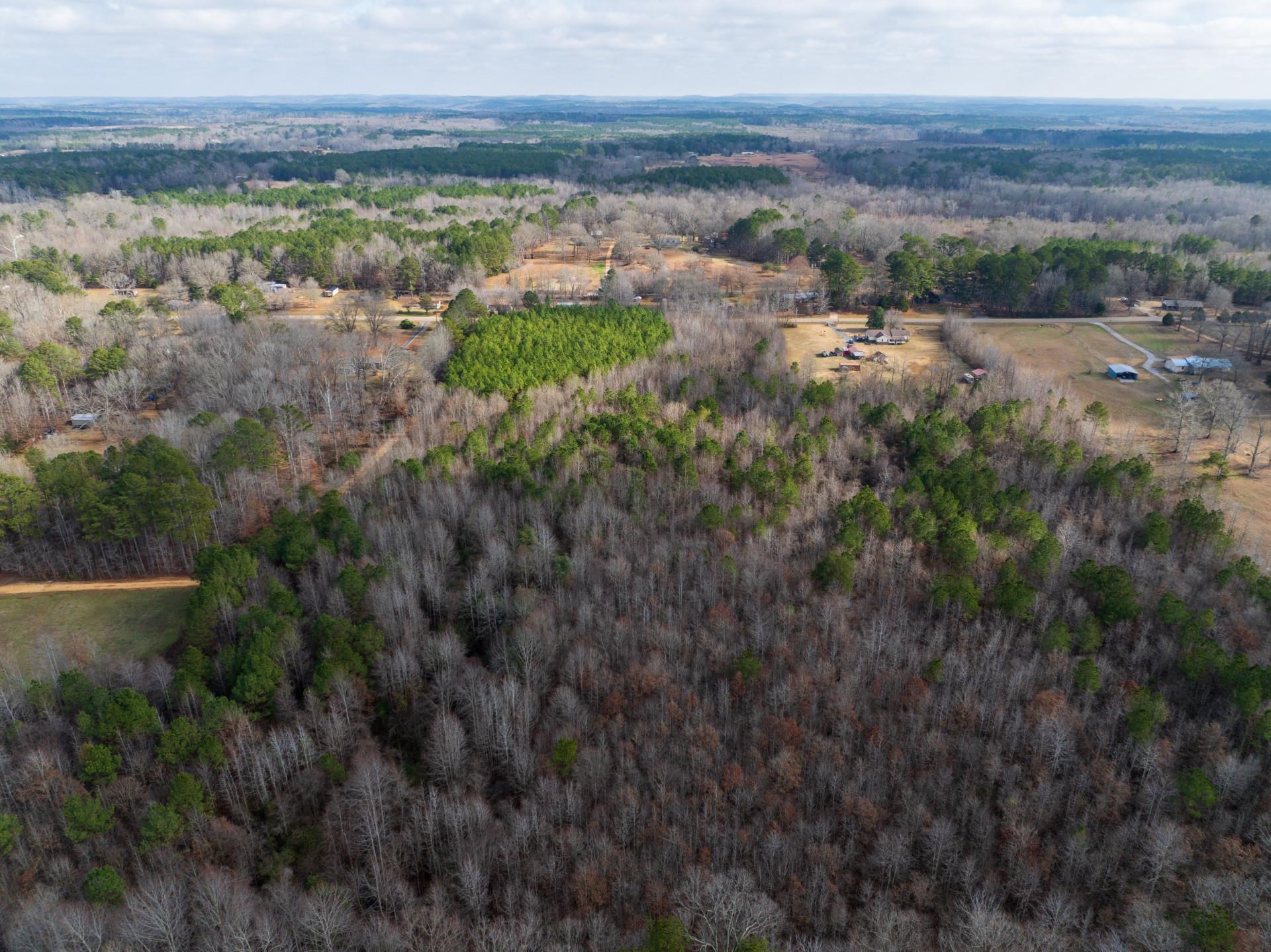 0 County Road 992 Road Iuka, MS 38852 - Photo 5 of 17 Drone / aerial view with a view of trees and a rural view