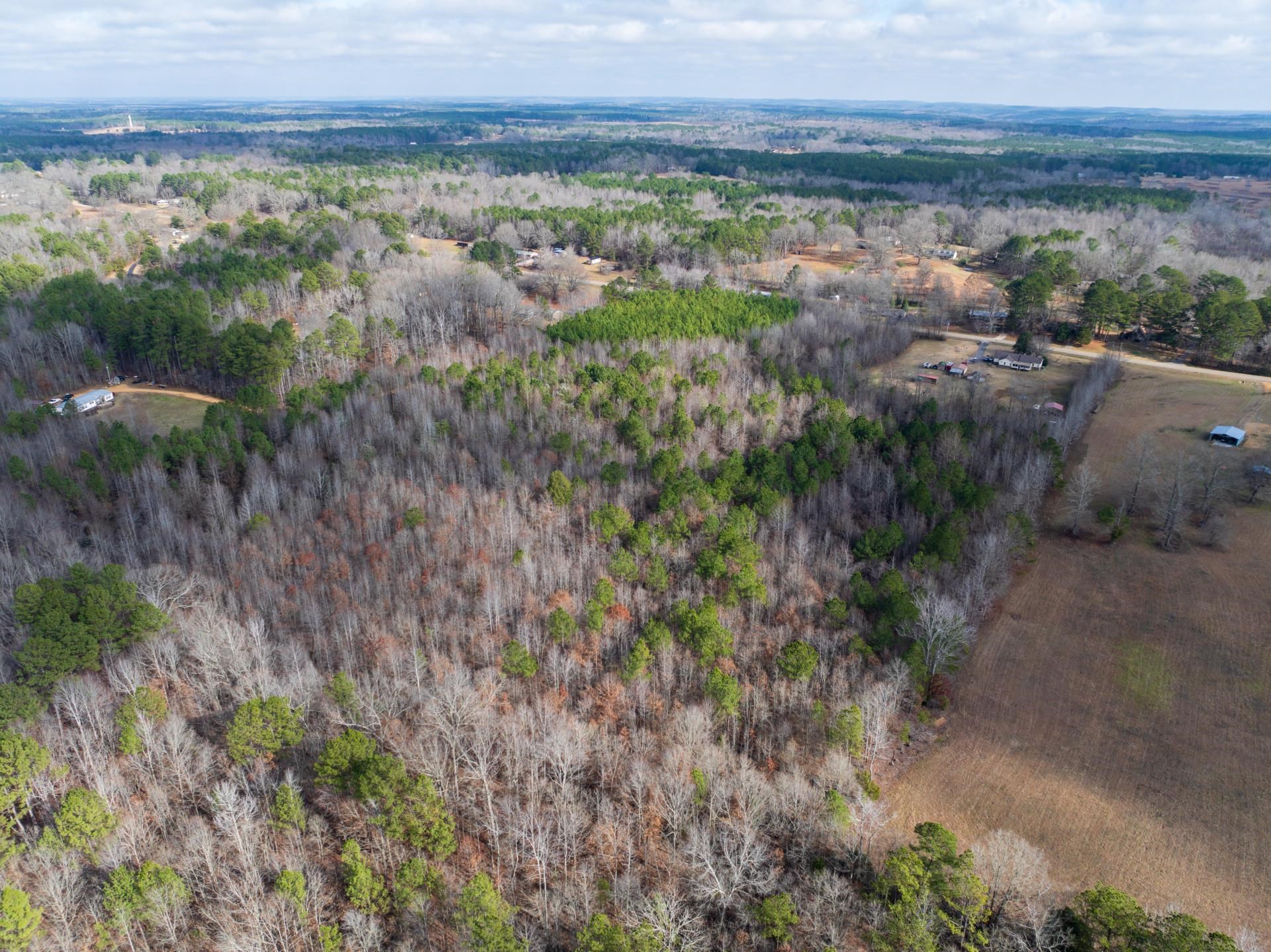 0 County Road 992 Road Iuka, MS 38852 - Photo 6 of 17 Bird's eye view with a wooded view