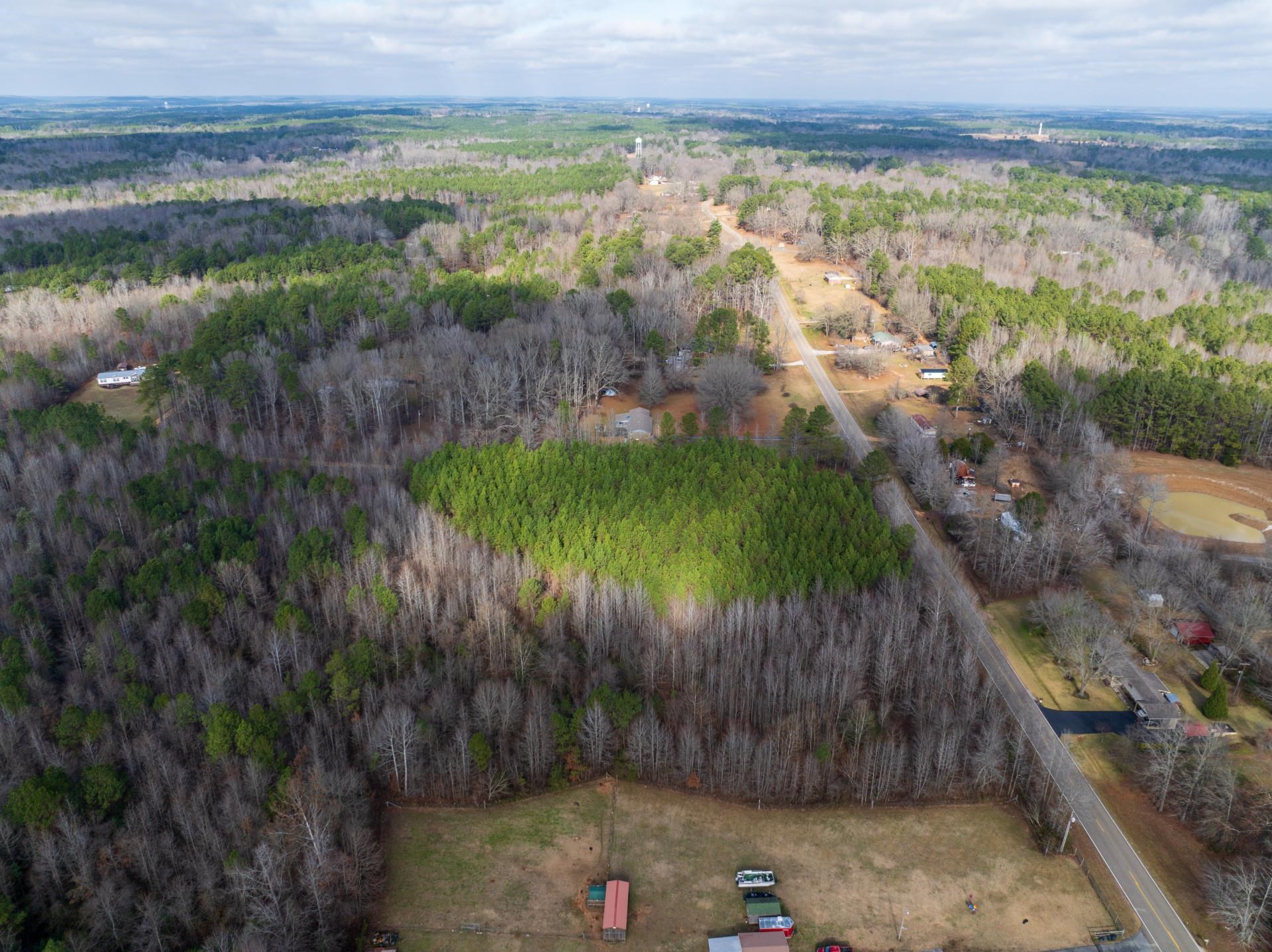 0 County Road 992 Road Iuka, MS 38852 - Photo 10 of 17 Birds eye view of property with a wooded view