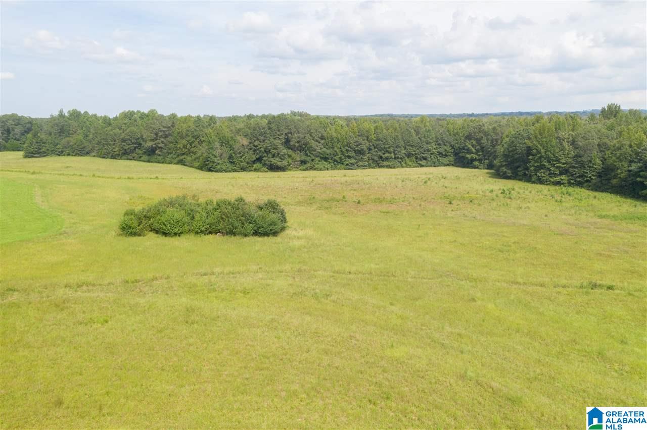 205 County Road 3 Reform, AL 35481 - Photo 23 of 46