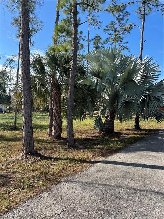 4395 18th Street Northeast Naples, FL 34120 - Photo 3 of 6 View of street