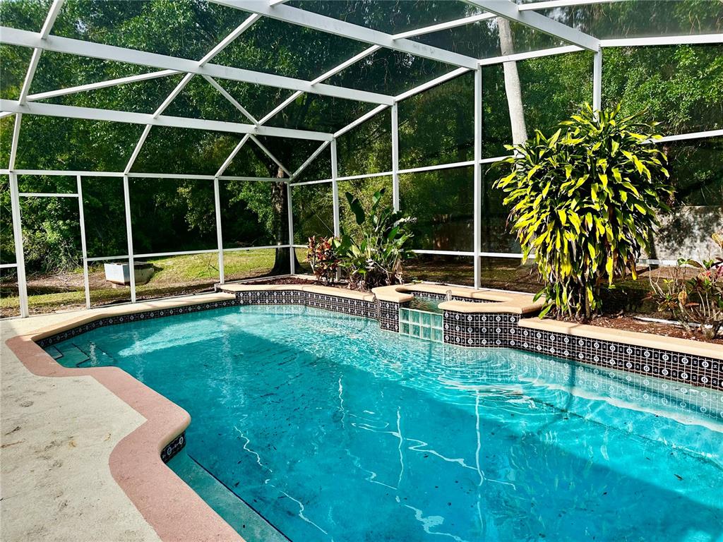 1757 Quail Ridge Loop Kissimmee, FL 34744 - Photo 17 of 20