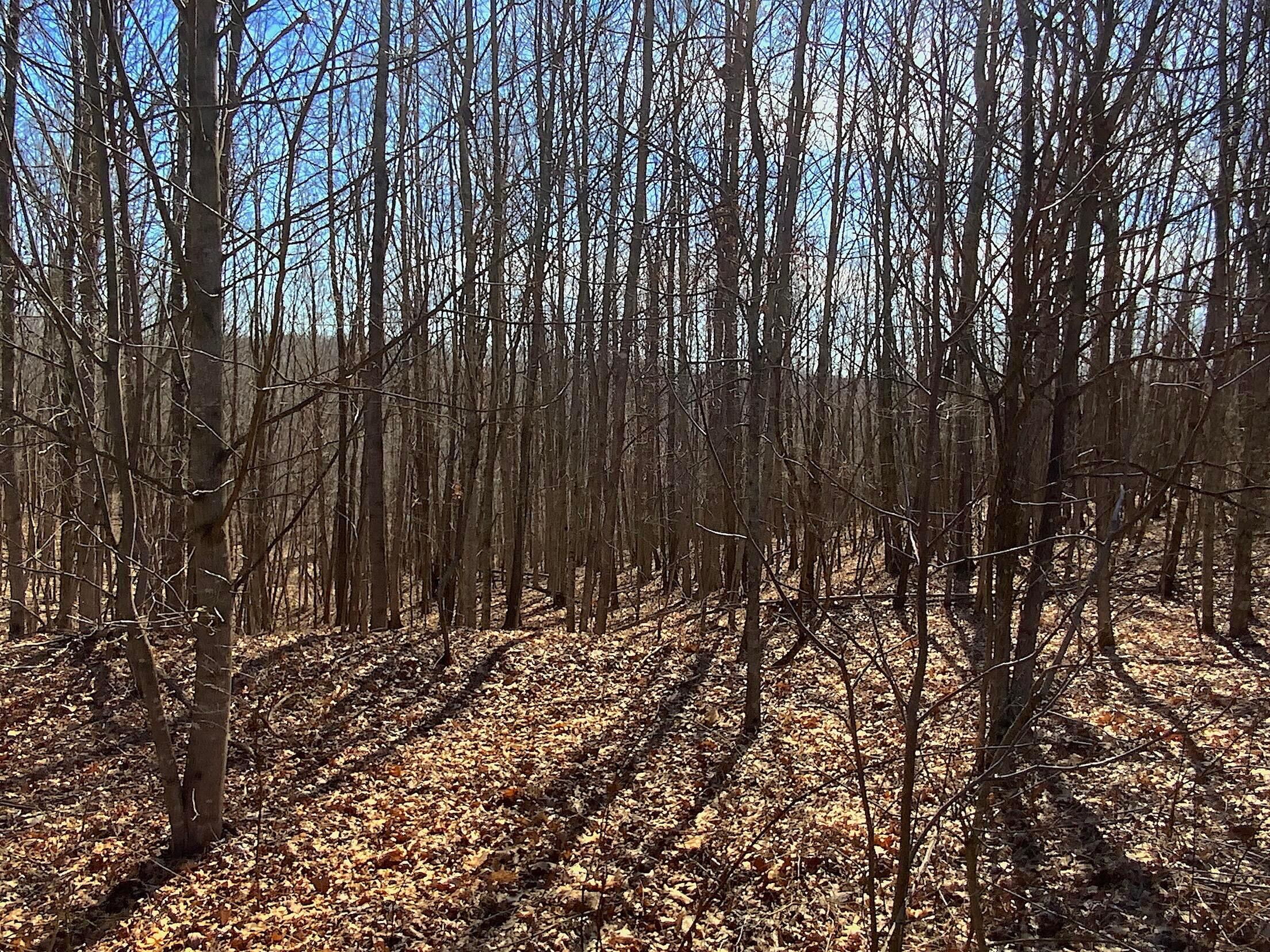 0 Kelly Road Ray, OH 45672 - Photo 13 of 46 Vinton County Kelly Rd 12