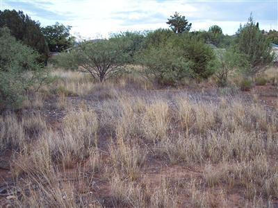4675 East Cochise Drive Rimrock, AZ 86335 - Photo 1 of 4 cochise lot3