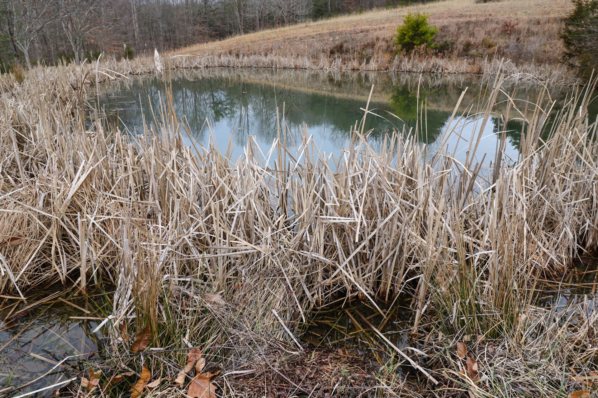 444 Gladstone Wesley Road Science Hill, KY 42553 - Photo 67 of 71 13