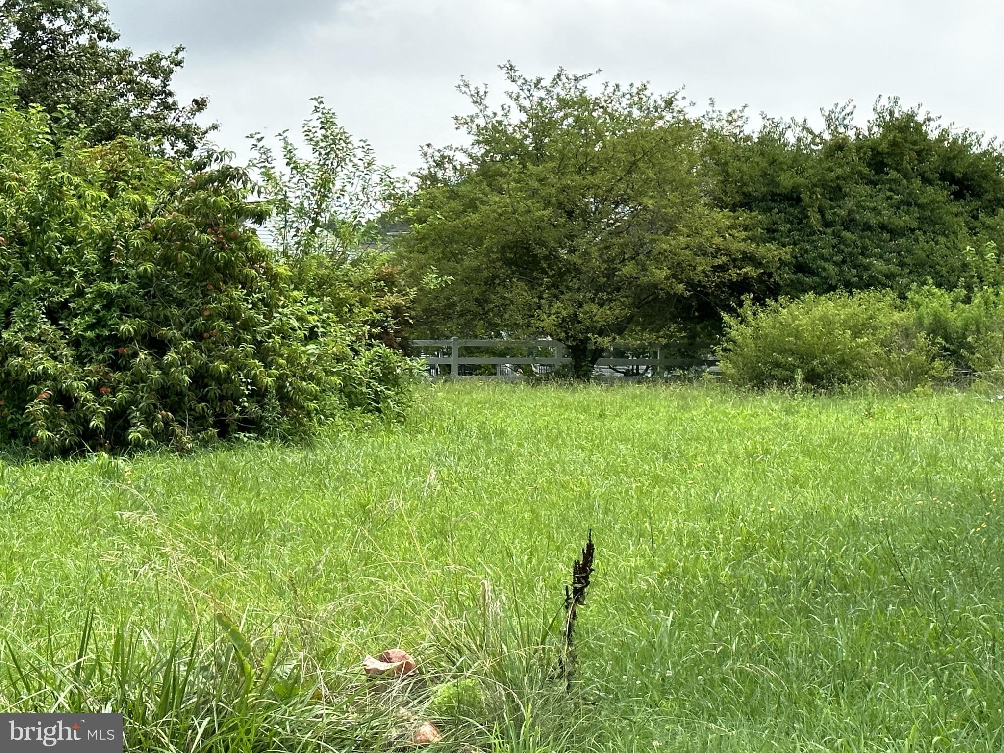 1361 Bear Corbitt Road Bear, DE 19701 - Photo 23 of 24