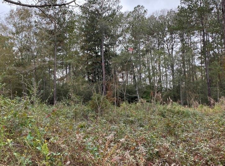 Parcel G Smith Road Franklinton, LA 70438 - Photo 2 of 3 Gallery Image 2