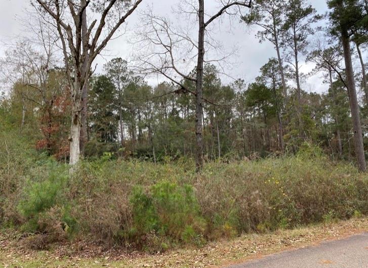 Parcel G Smith Road Franklinton, LA 70438 - Photo 3 of 3 Gallery Image 3