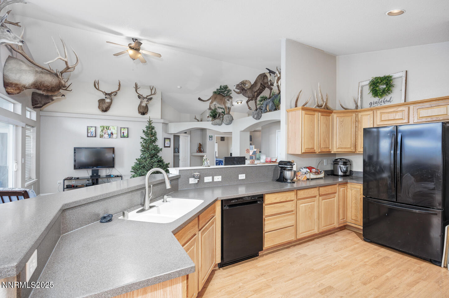 1820 Heidi Road Fallon, NV 89406 - Photo 6 of 32 6