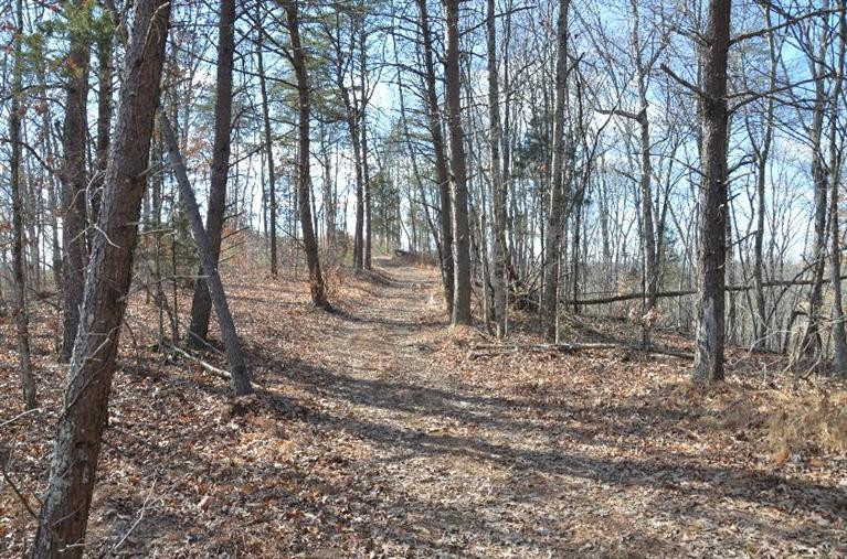 1000 White Oak Road Irvine, KY 40336 - Photo 12 of 27 Test your survival skills then go to tow