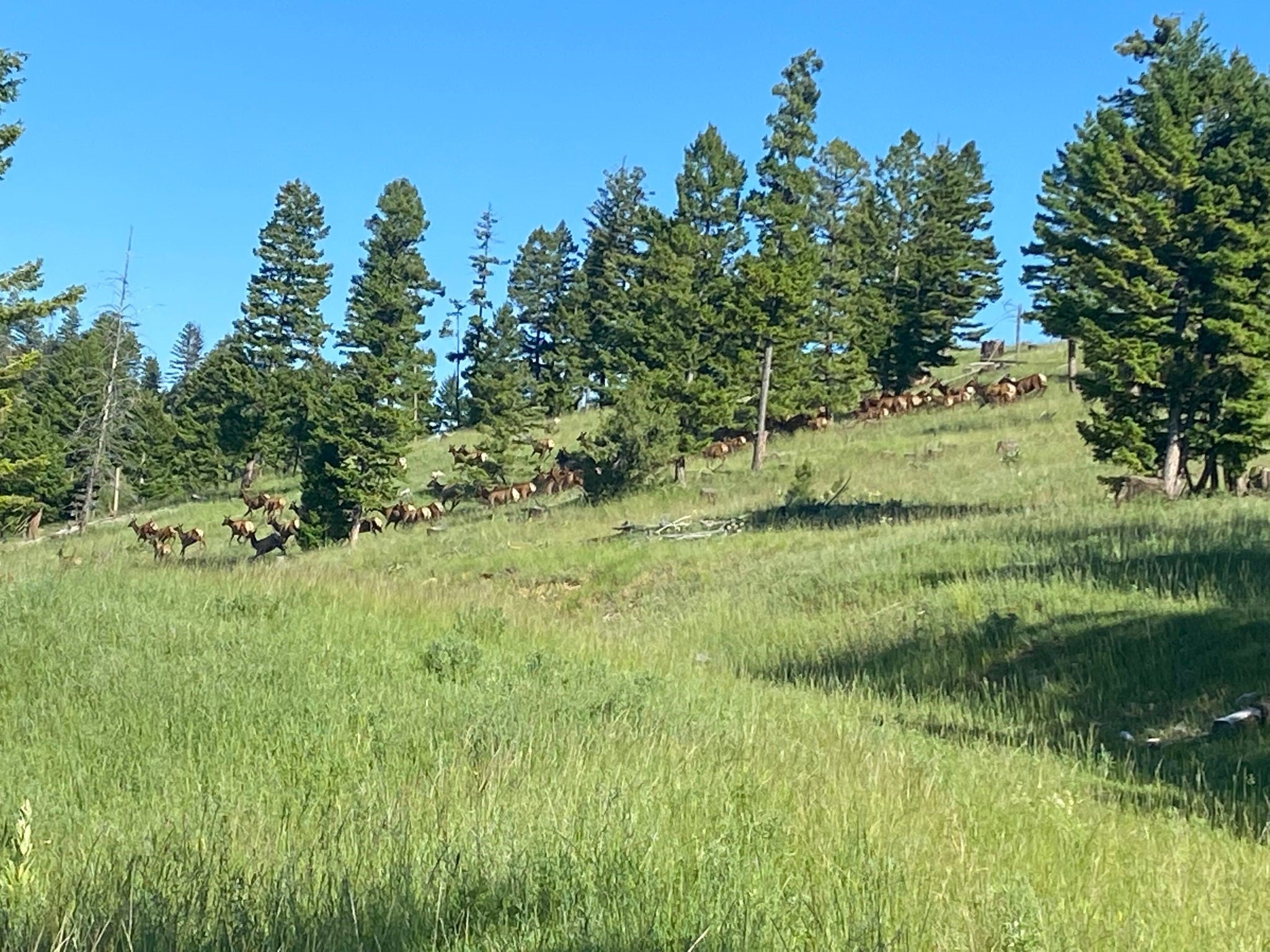 12 Garnet Range Road Drummond, MT 59832 - Photo 15 of 19 Gallery Image 15