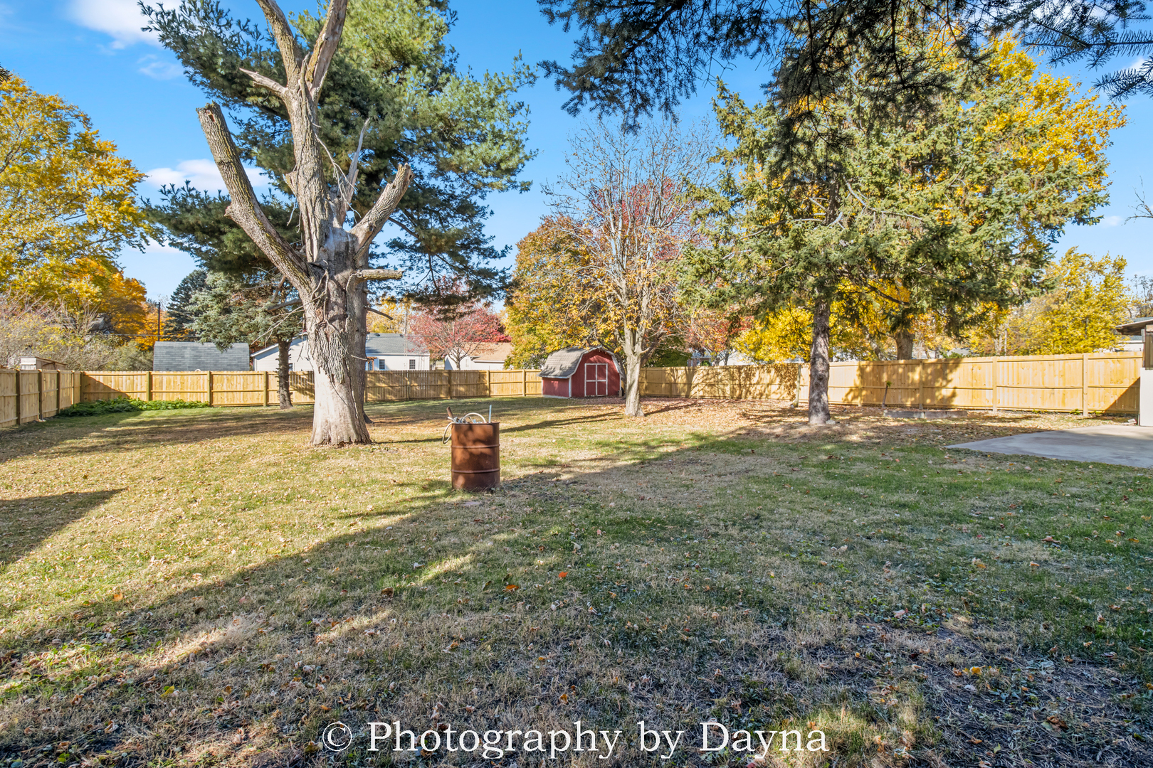 569 South Chestnut Street Chebanse, IL 60922 - Photo 17 of 22 a view of yard with tree