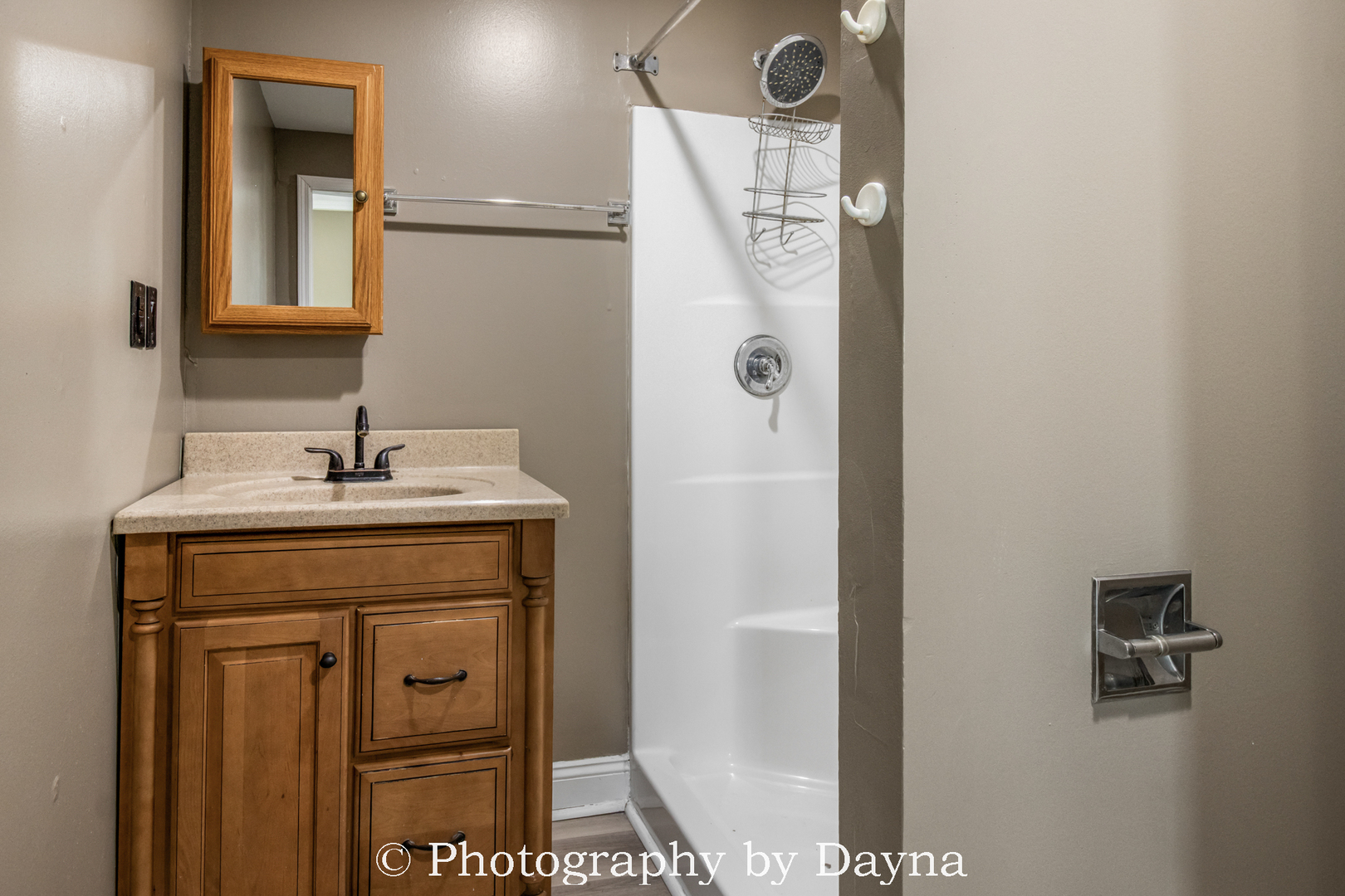 569 South Chestnut Street Chebanse, IL 60922 - Photo 6 of 22 a bathroom with a sink and a mirror
