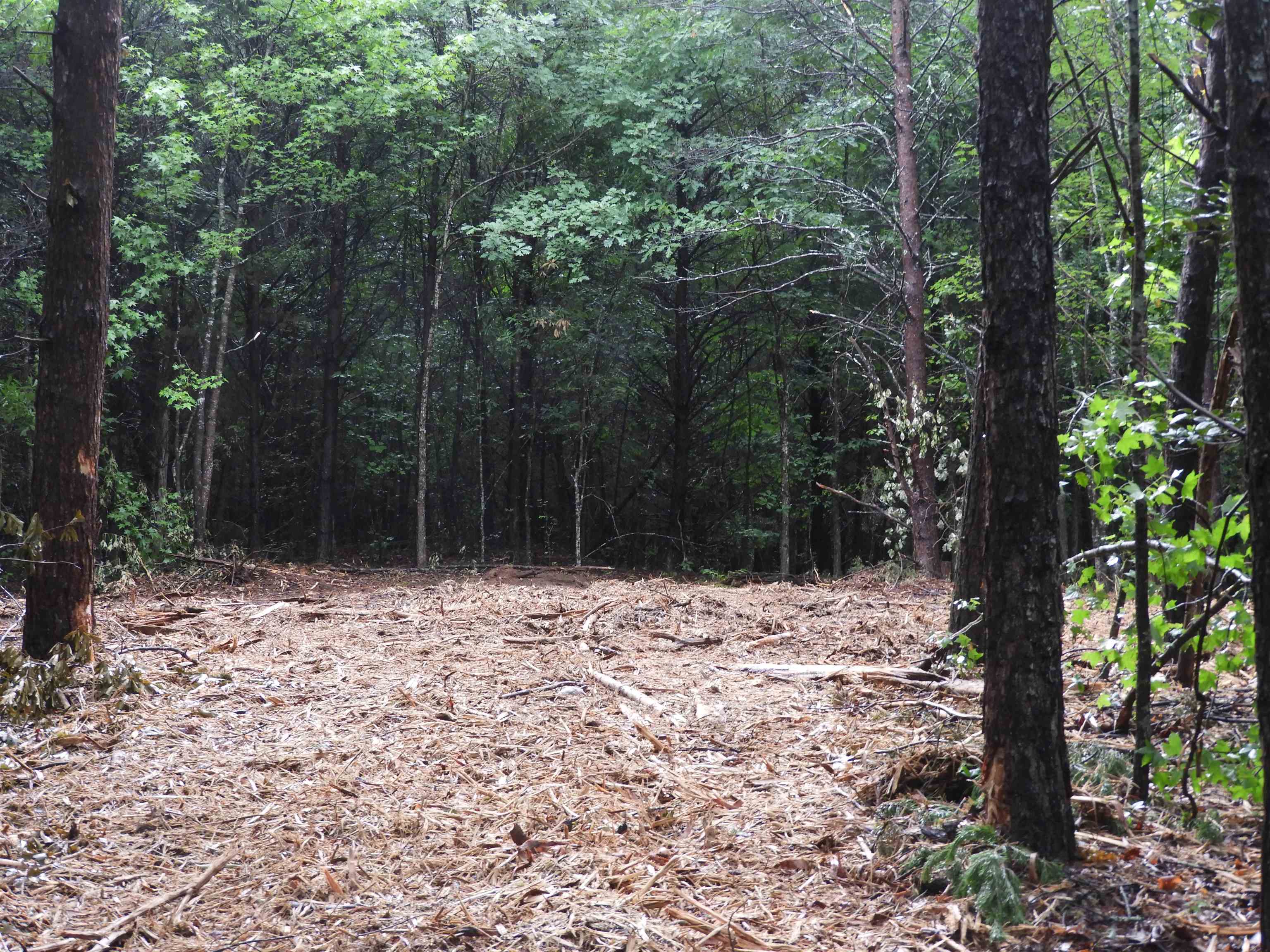 2109-tract D 2109-tract D Riddle Road Pauline, SC 29374 - Photo 19 of 42