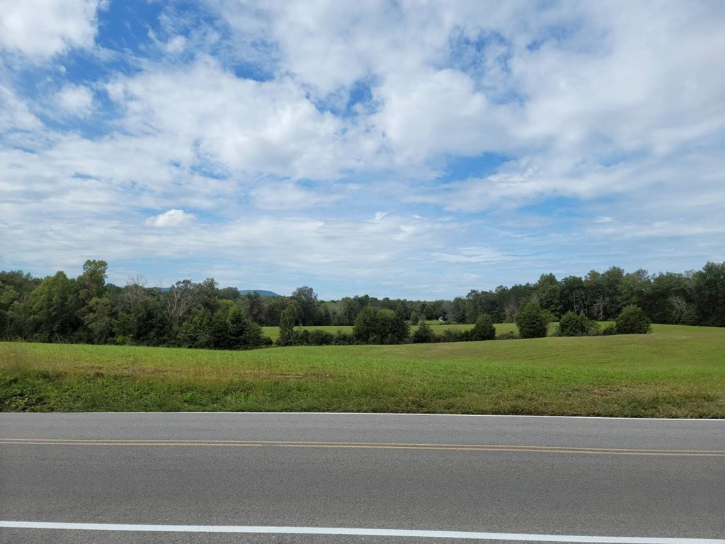 455 Gamble Gap Road Tellico Plains, TN 37385 - Photo 2 of 6 Gallery Image 2