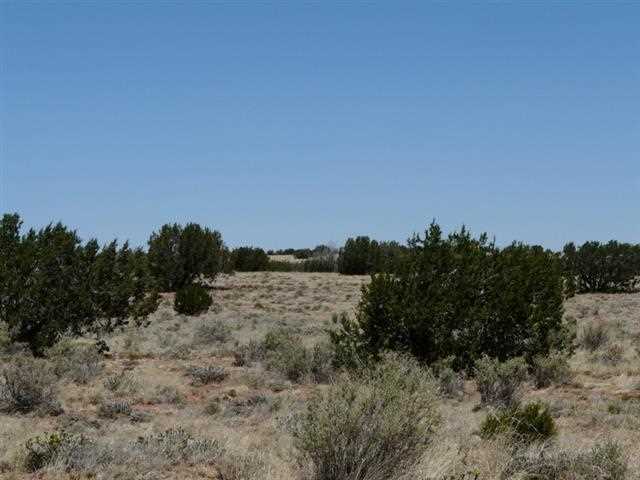 Ccr Unit 4 Ccr, Unit 4 Heber, AZ 85928 - Photo 4 of 8