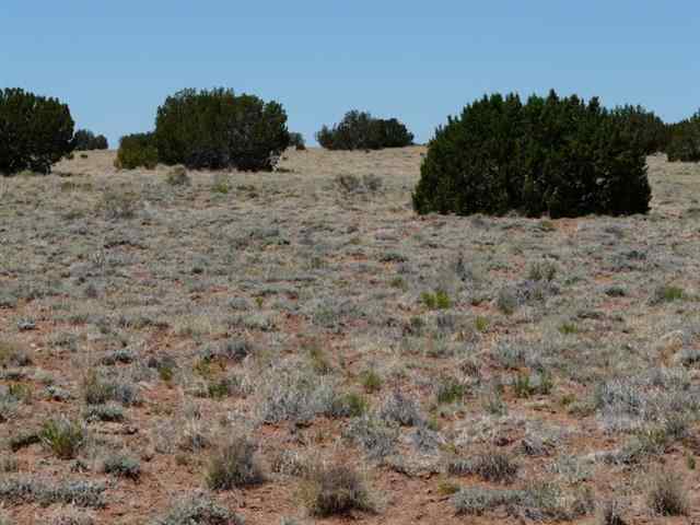 Ccr Unit 4 Ccr, Unit 4 Heber, AZ 85928 - Photo 5 of 8