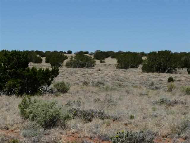 Ccr Unit 4 Ccr, Unit 4 Heber, AZ 85928 - Photo 6 of 8