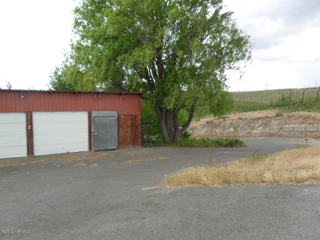 801 Clark Road Wapato, WA 98951 - Photo 26 of 28 a view of a big yard with large trees