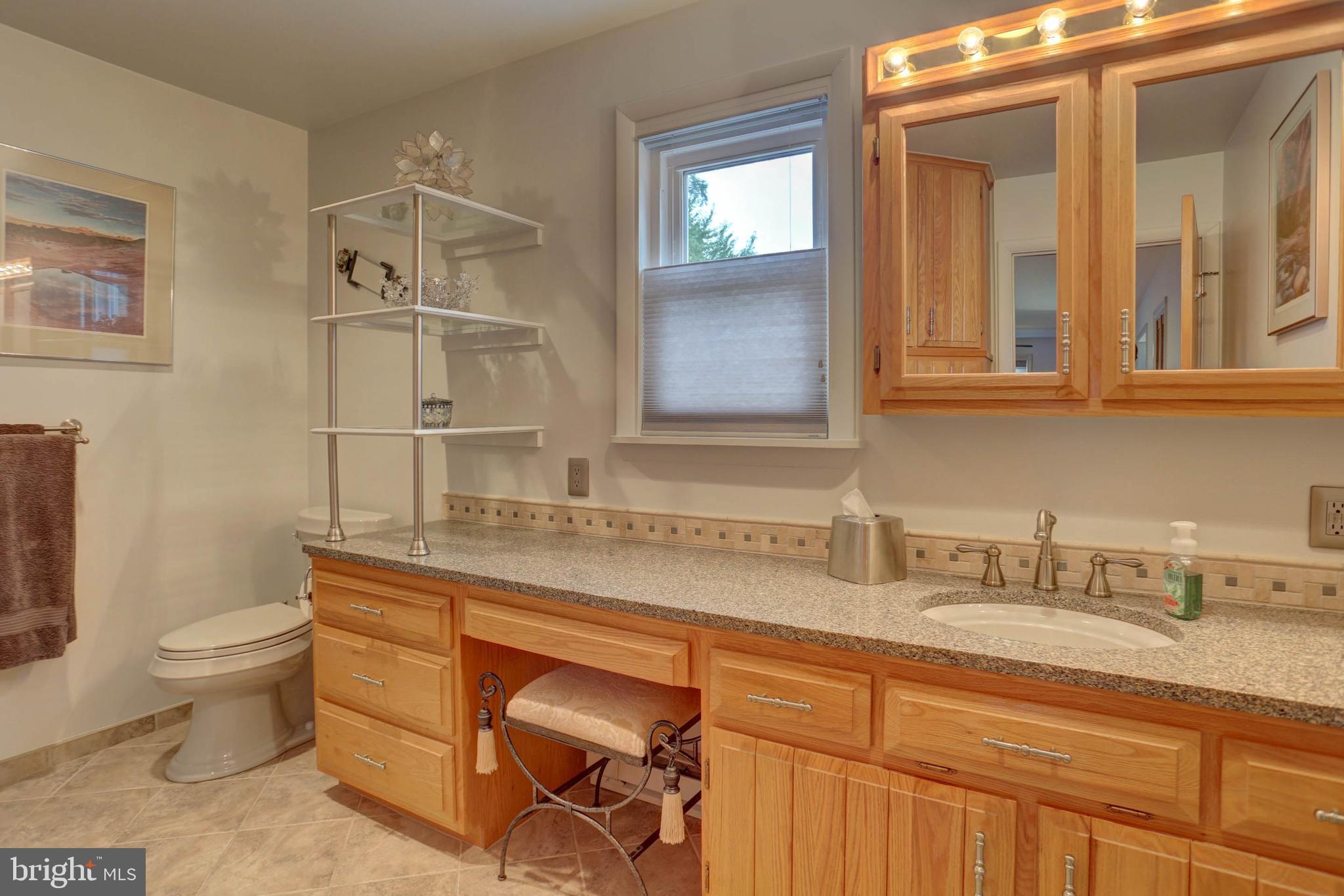 977 Hampden Road Elizabethtown, PA 17022 - Photo 16 of 25 a bathroom with a granite countertop sink a toilet and a mirror