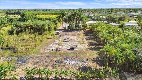 a view of a garden with plants