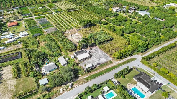 a view of a yard with plants and large trees