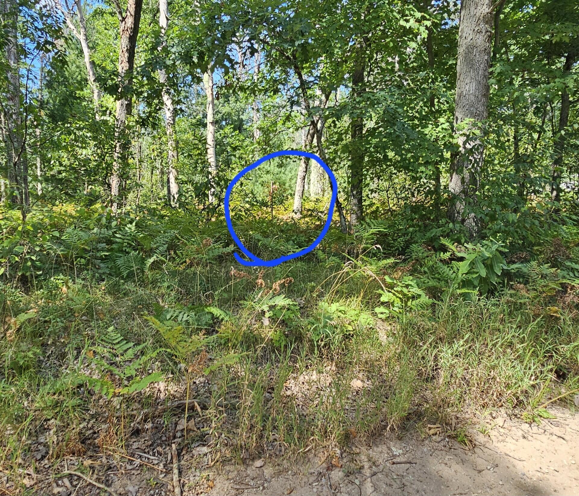 13451 Greenley Road Bitely, MI 49309 - Photo 11 of 27 greenley1