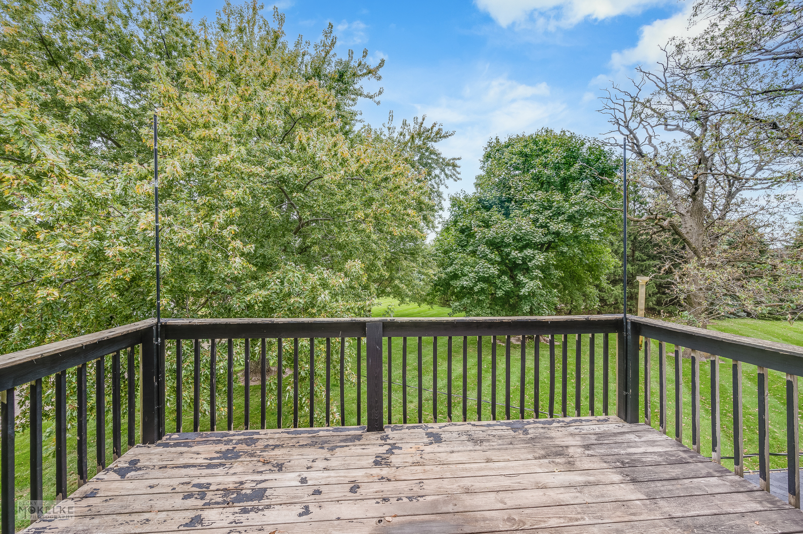 3494 Howlett Road Paw Paw, IL 61353 - Photo 20 of 47 a balcony with trees in front of it
