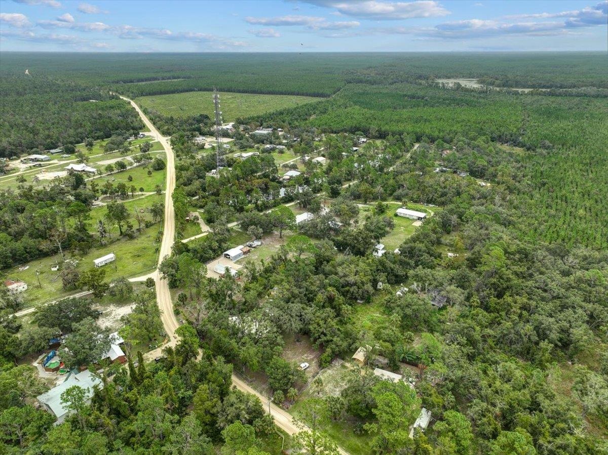 19730 Jody Morgan Road Perry, FL 32348 - Photo 11 of 41