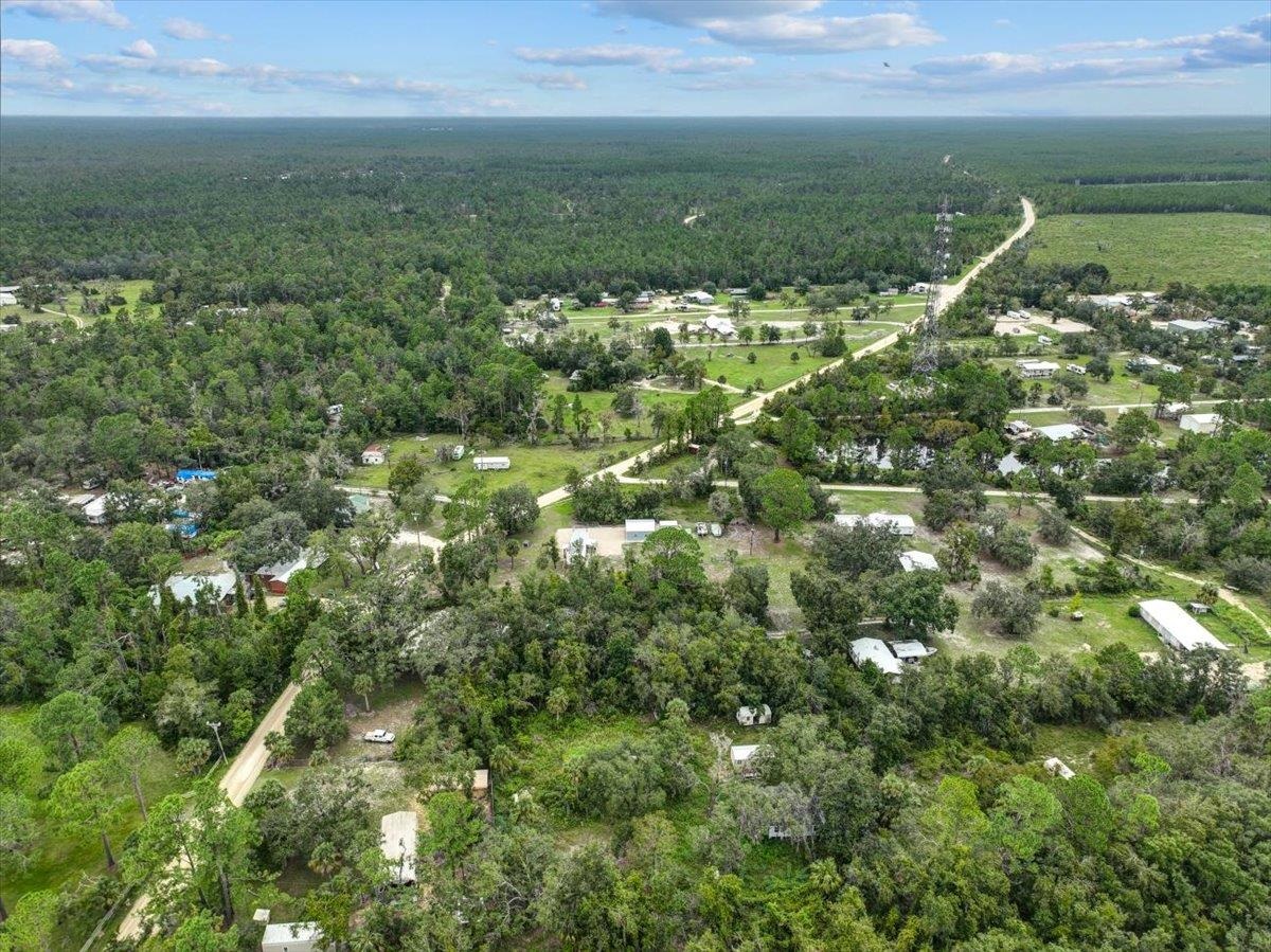19730 Jody Morgan Road Perry, FL 32348 - Photo 12 of 41