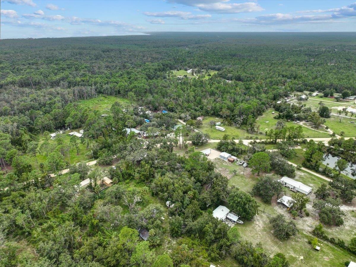 19730 Jody Morgan Road Perry, FL 32348 - Photo 13 of 41