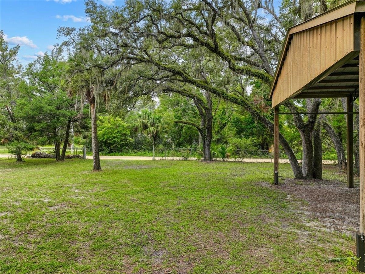 19730 Jody Morgan Road Perry, FL 32348 - Photo 22 of 41