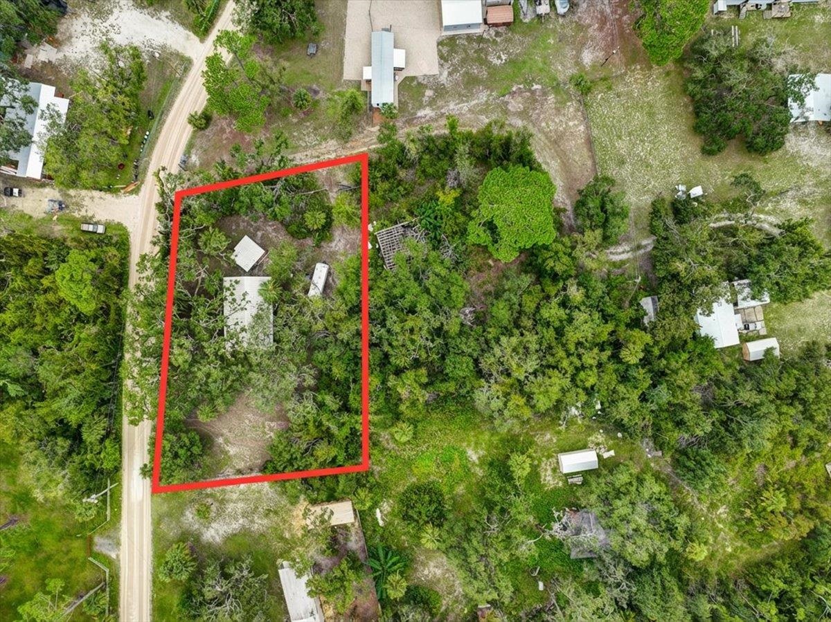 19730 Jody Morgan Road Perry, FL 32348 - Photo 26 of 41