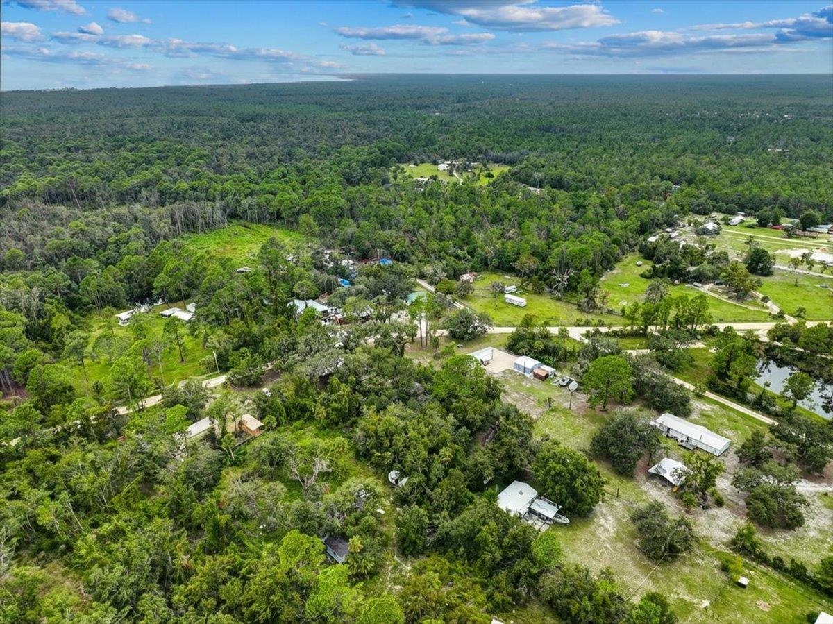 19730 Jody Morgan Road Perry, FL 32348 - Photo 28 of 41