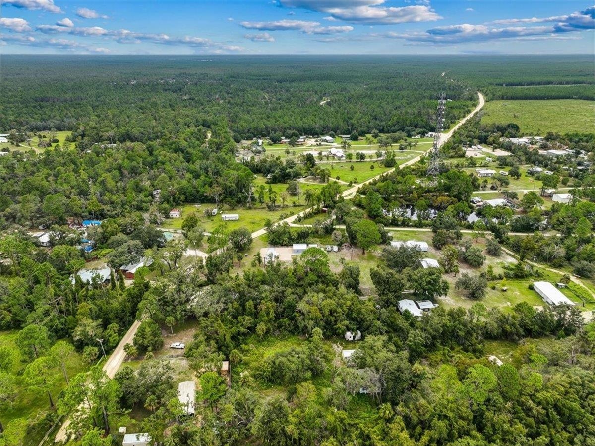 19730 Jody Morgan Road Perry, FL 32348 - Photo 29 of 41
