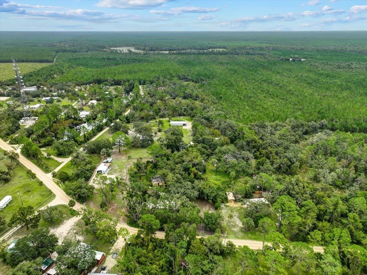19730 Jody Morgan Road Perry, FL 32348 - Photo 31 of 41
