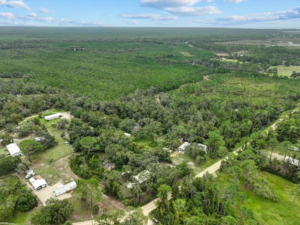 19730 Jody Morgan Road Perry, FL 32348 - Photo 32 of 41