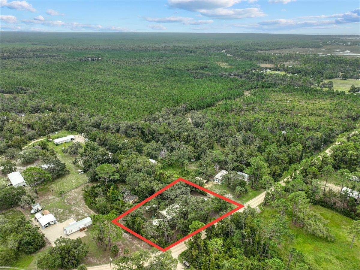 19730 Jody Morgan Road Perry, FL 32348 - Photo 37 of 41