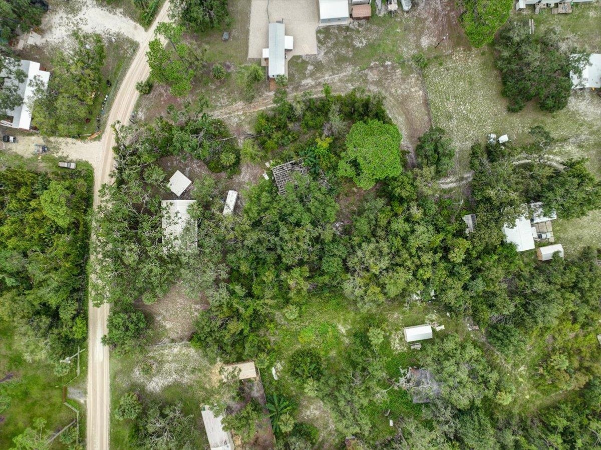 19730 Jody Morgan Road Perry, FL 32348 - Photo 5 of 41