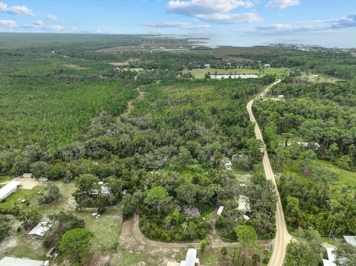 19730 Jody Morgan Road Perry, FL 32348 - Photo 8 of 41
