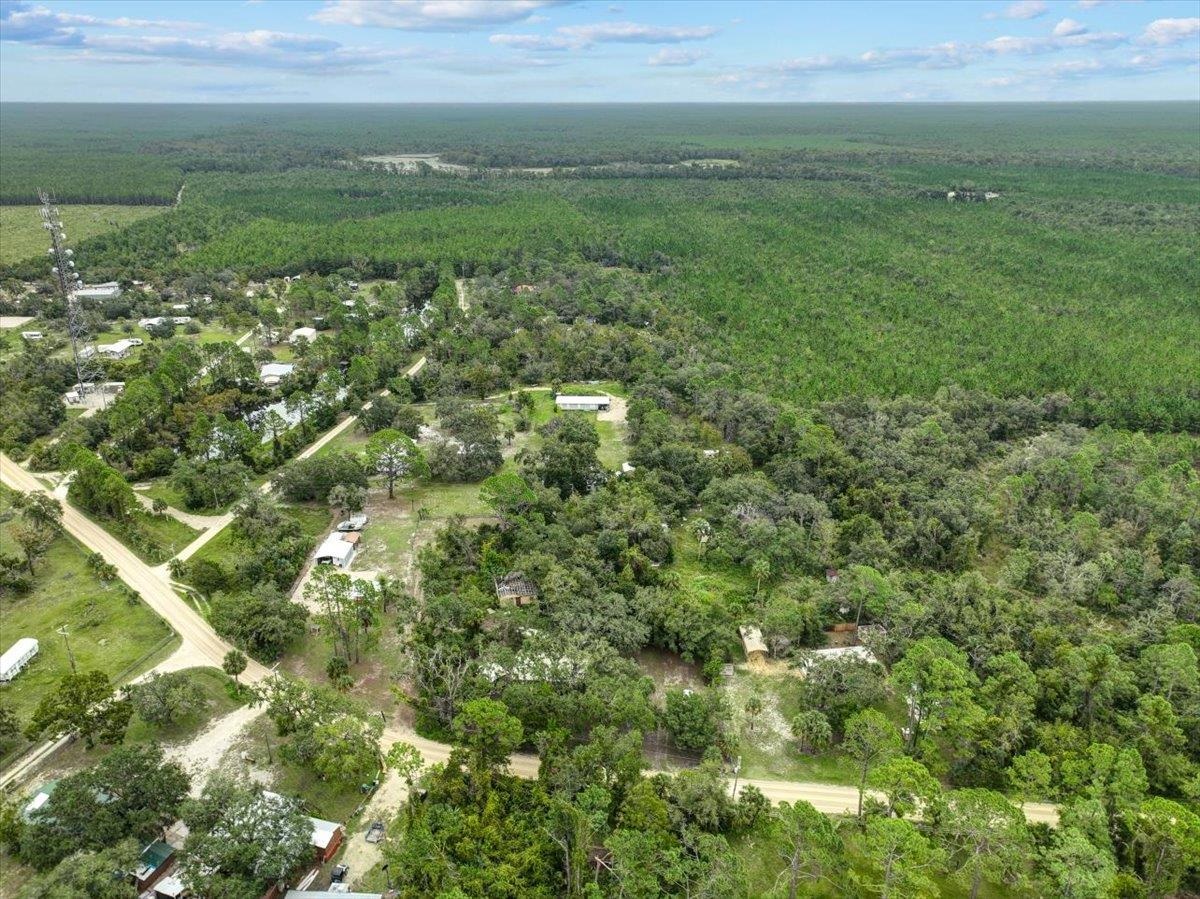 19730 Jody Morgan Road Perry, FL 32348 - Photo 10 of 41