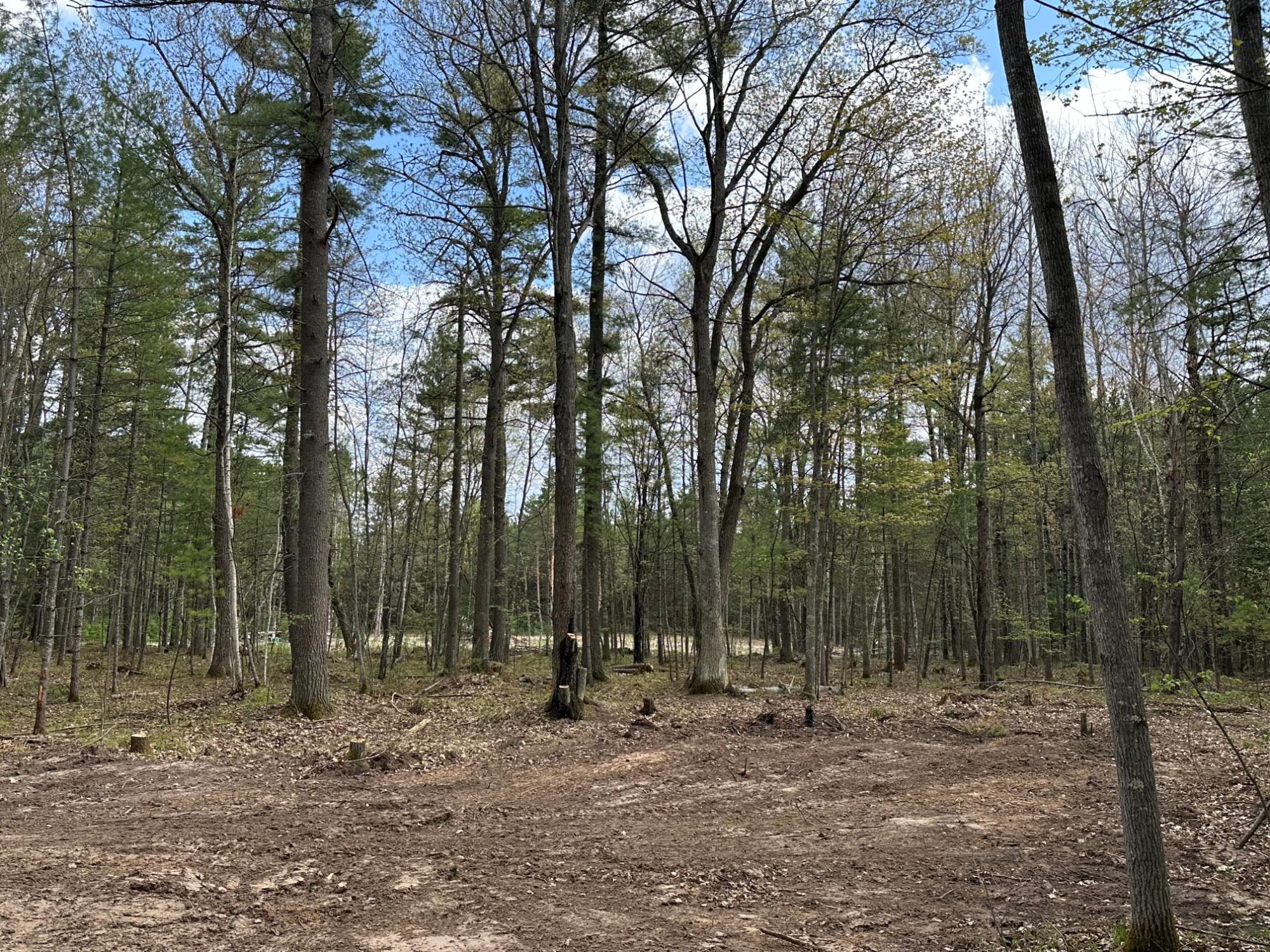 Lot 3 Pine Breeze Way Rhinelander, WI 54501 - Photo 10 of 14 Gallery Image 10