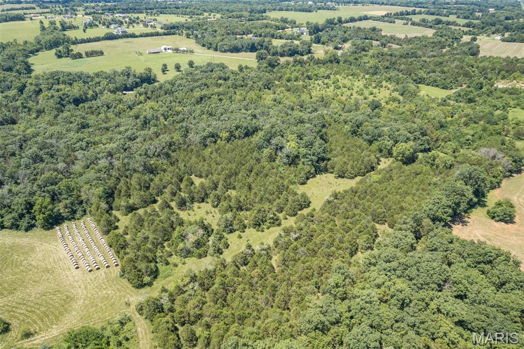 1175 3 Rivers Road Bonne Terre, MO 63628 - Photo 11 of 32 Gallery Image 11
