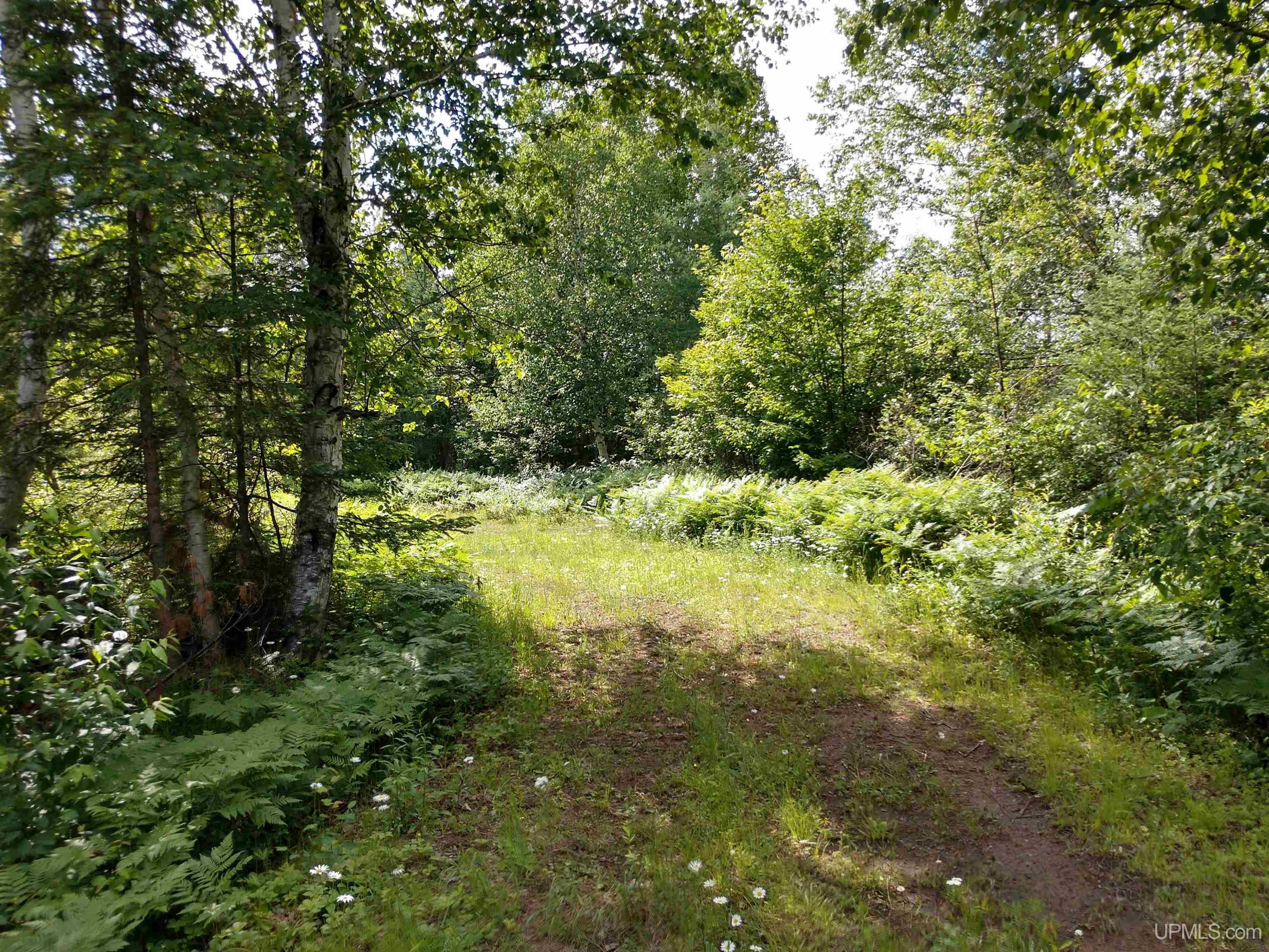 601 County Road 601 Road Republic, MI 49879 - Photo 46 of 60